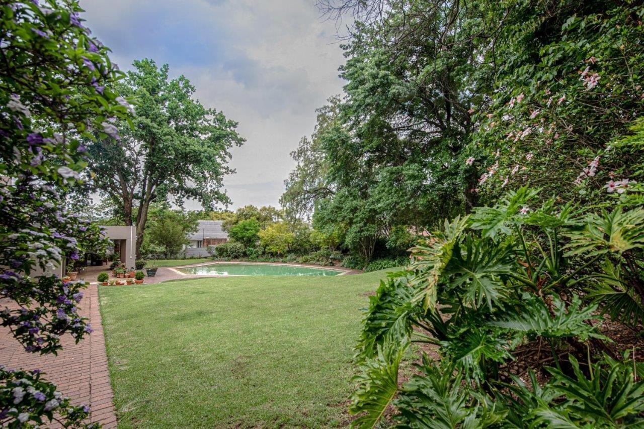 Wild Olive Executive Suite Johannesburg Exterior photo