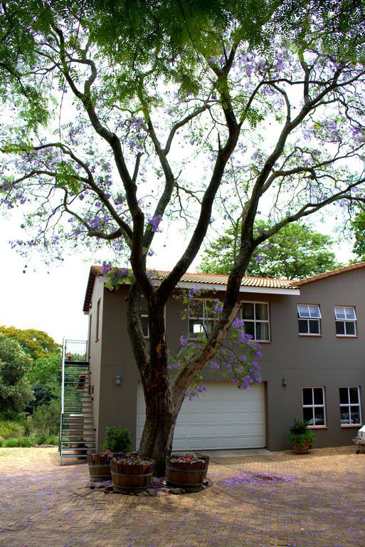 Wild Olive Executive Suite Johannesburg Exterior photo